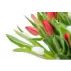 Bouquet of red tulips